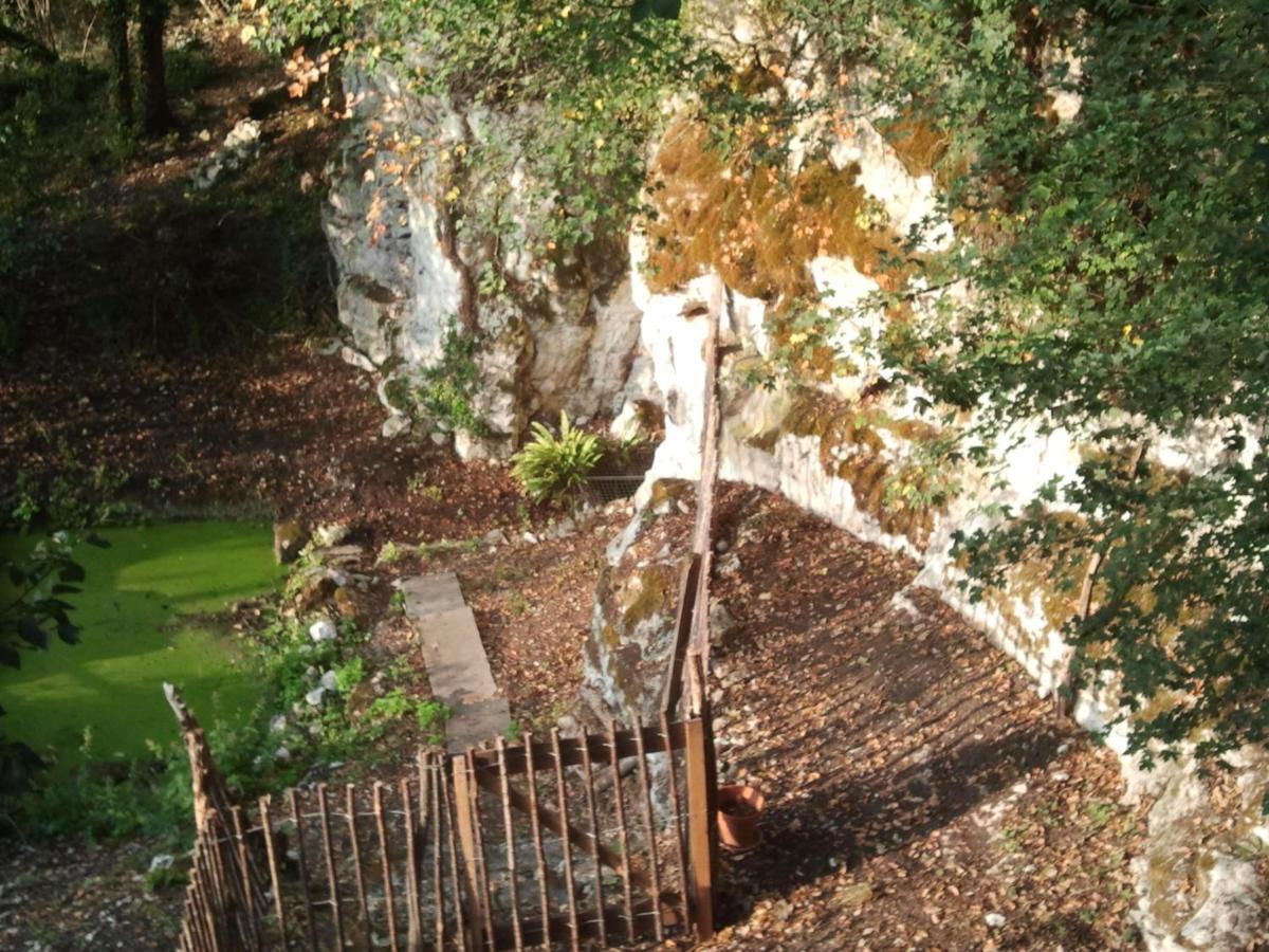 Bed and Breakfast Nuits Perchees A Laroque Saint-Antoine-de-Breuilh Exterior foto
